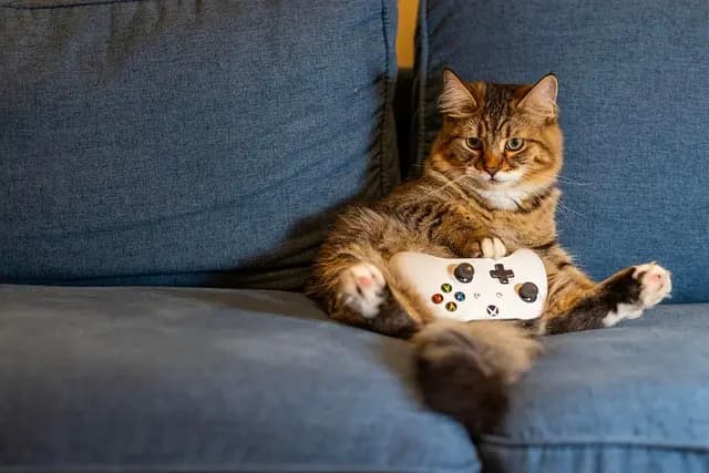 Gaming Zubehör kaufen – Optimieren Sie Ihr Setup